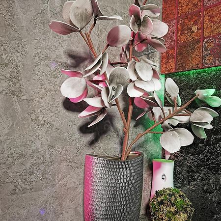 Crystal Central Apartment 布拉索夫 外观 照片