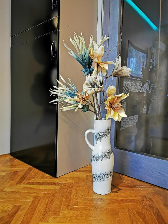 Crystal Central Apartment 布拉索夫 外观 照片