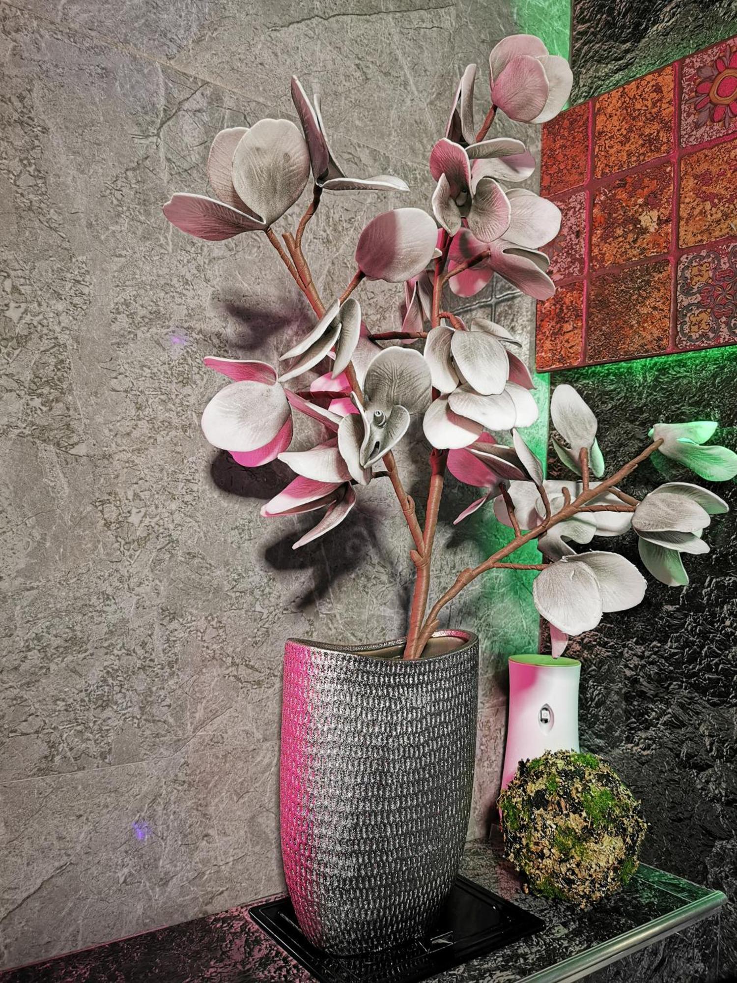 Crystal Central Apartment 布拉索夫 外观 照片